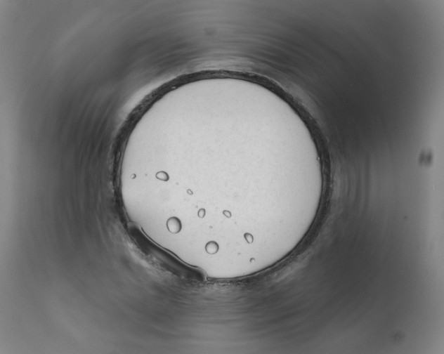 X0000111610830200908141251