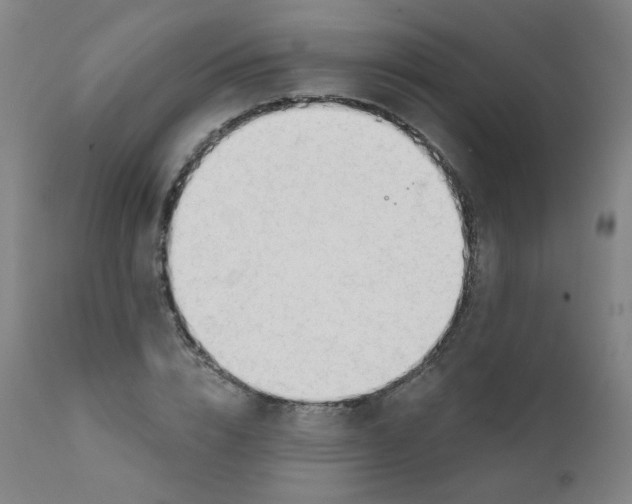 X0000111610832200908141251