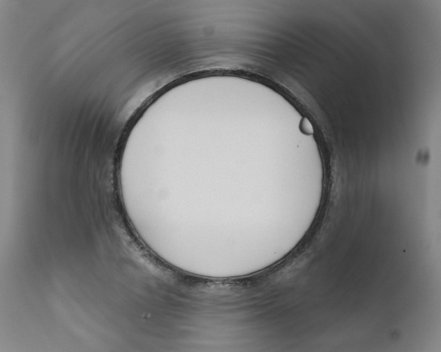 X0000111610834200908141251