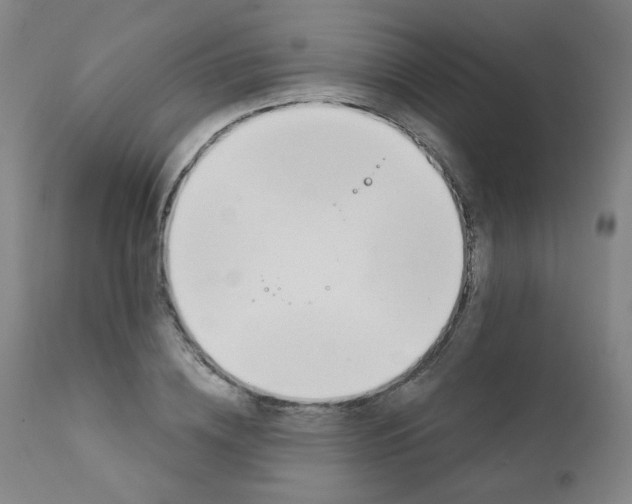 X0000111610836200908141251