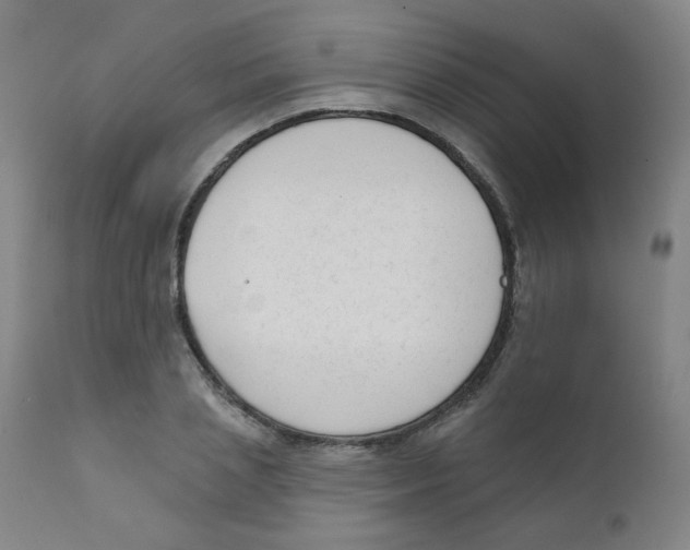 X0000111610837200908141251