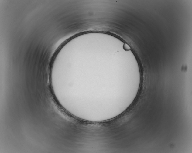 X0000111610838200908141251