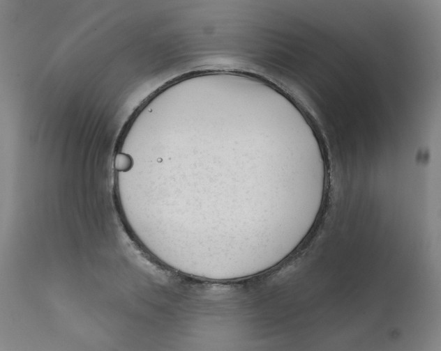 X0000111610839200908141251
