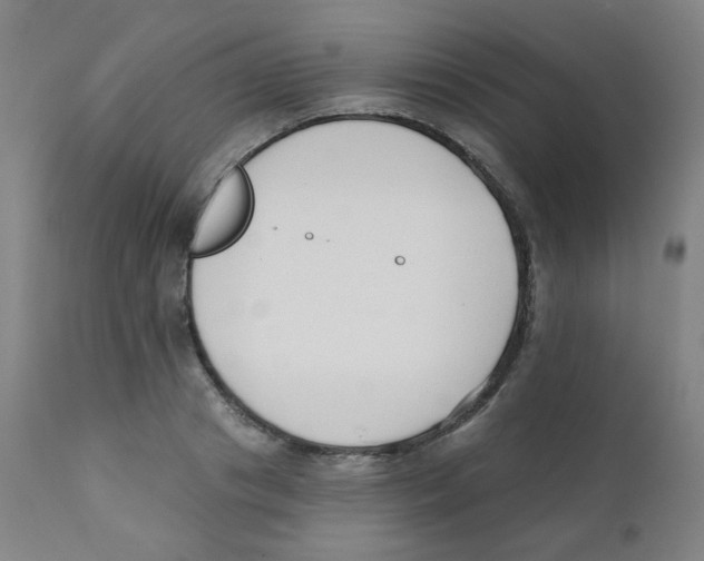 X0000111610841200908141251