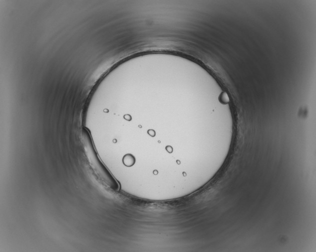 X0000111610842200908141251