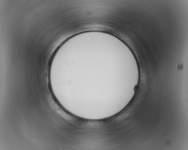 X0000111610843200908141251