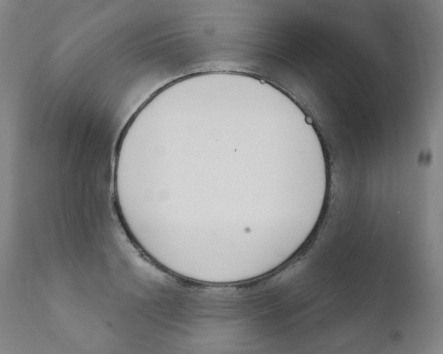 X0000111610844200908141251