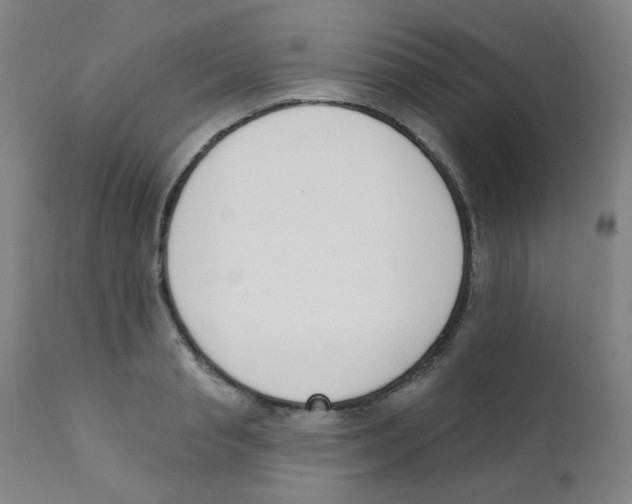 X0000111610845200908141251