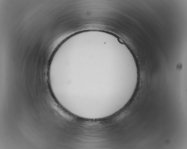 X0000111610846200908141252