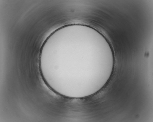 X0000111610847200908141252