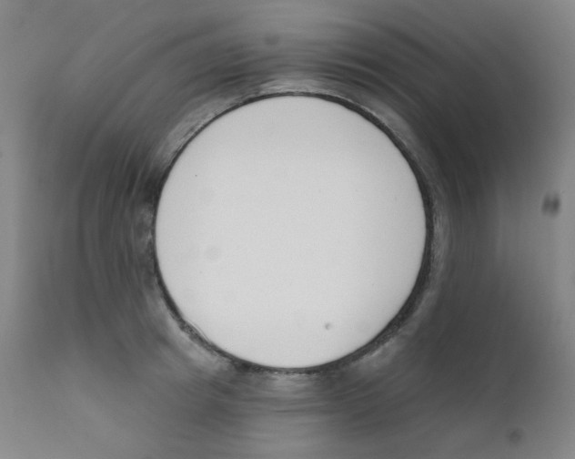 X0000111610849200908141252