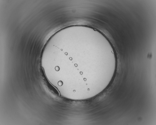 X0000111610850200908141252