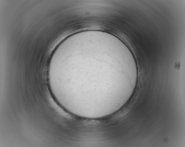 X0000111610851200908141252
