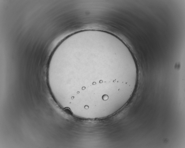 X0000111610854200908141252