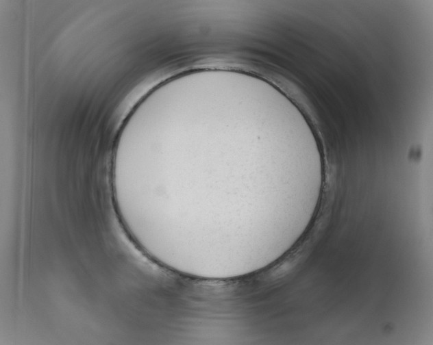 X0000111610855200908141252