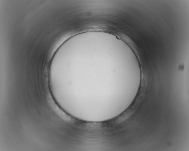 X0000111610859200908141252