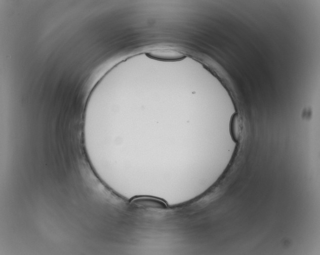 X0000111610860200908141252