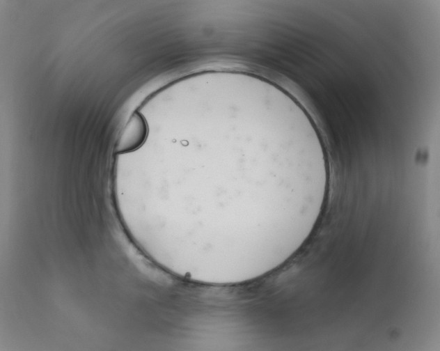 X0000111610861200908141252