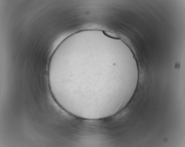 X0000111610863200908141252