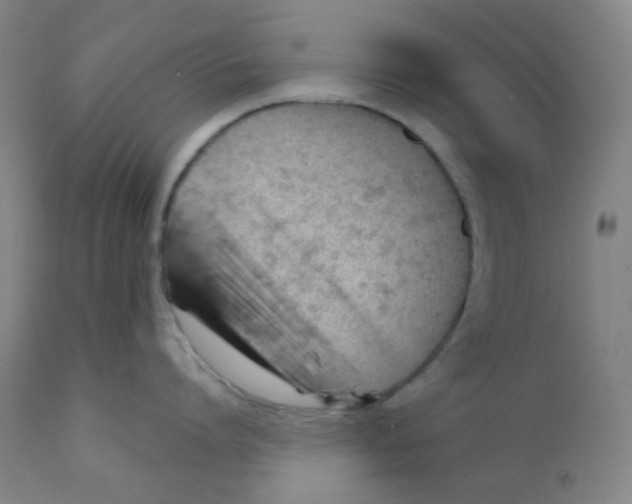 X0000111610864200908141252