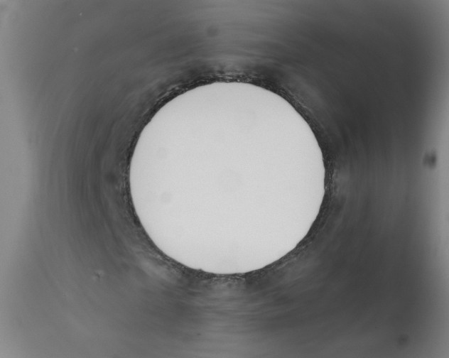X0000111610865200908141251