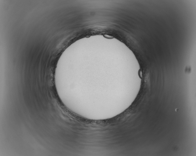 X0000111610868200908141251