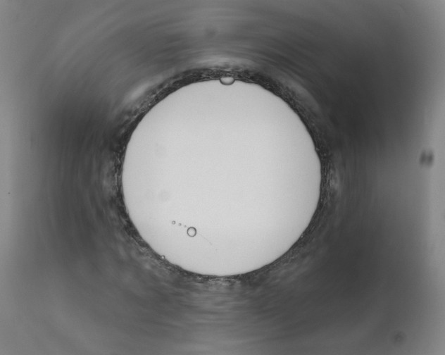 X0000111610869200908141251