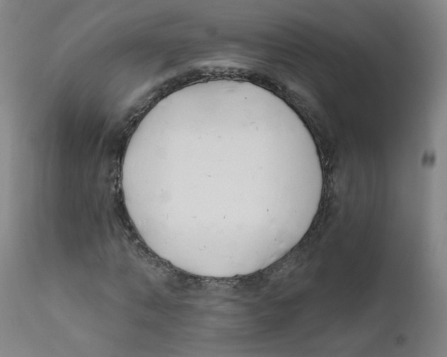 X0000111610870200908141251