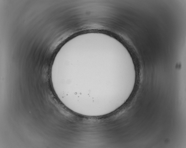 X0000111610873200908141251