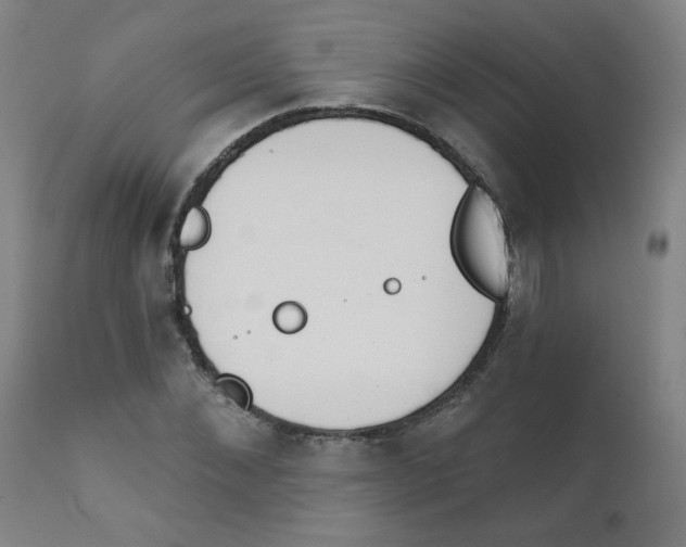 X0000111610876200908141251