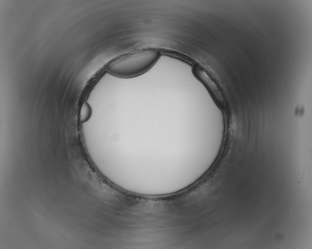 X0000111610877200908141251