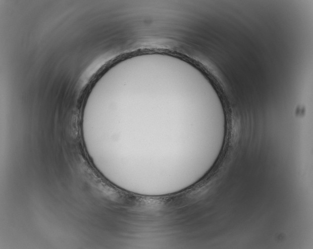 X0000111610878200908141251