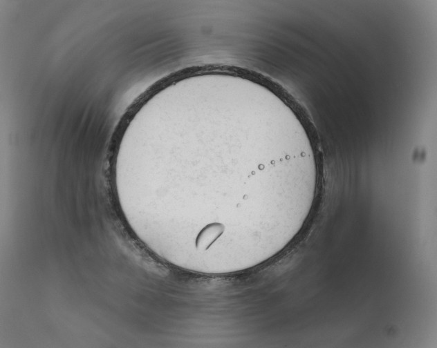 X0000111610879200908141251