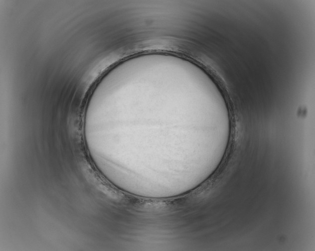 X0000111610882200908141251