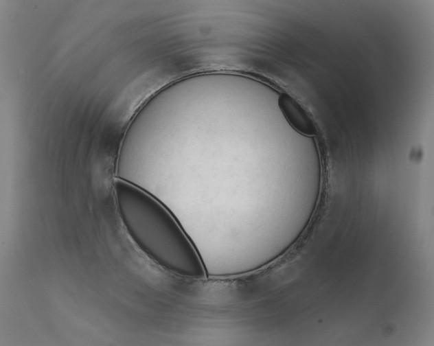 X0000111610889200908141251