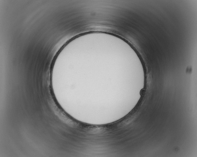 X0000111610891200908141251