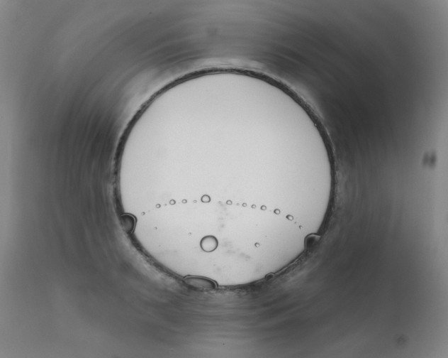 X0000111610895200908141251