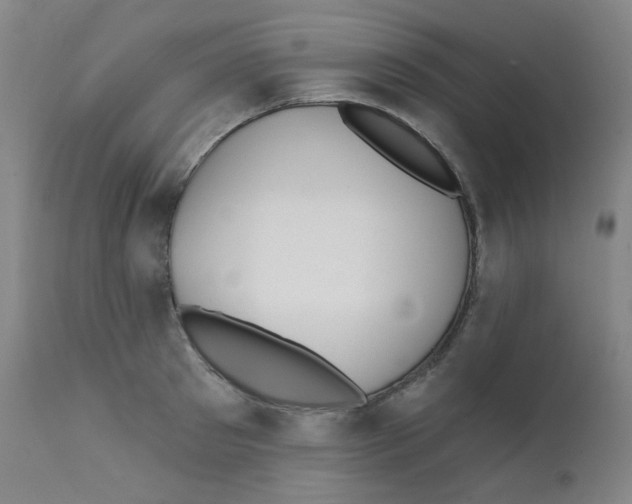 X0000111610897200908141250