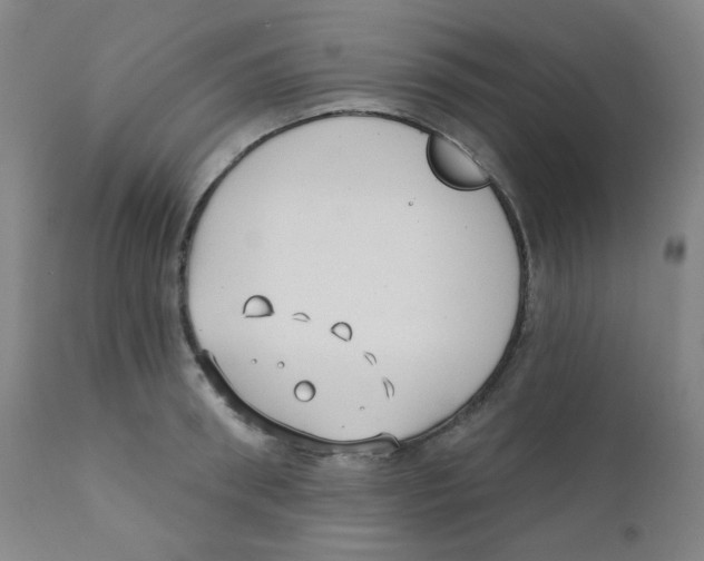X0000111610898200908141250