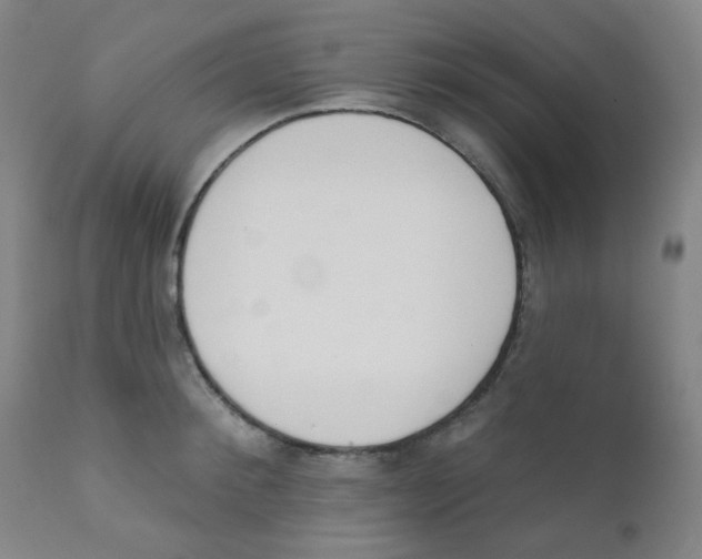 X0000111610900200908141250