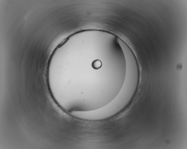 X0000111610901200908141250