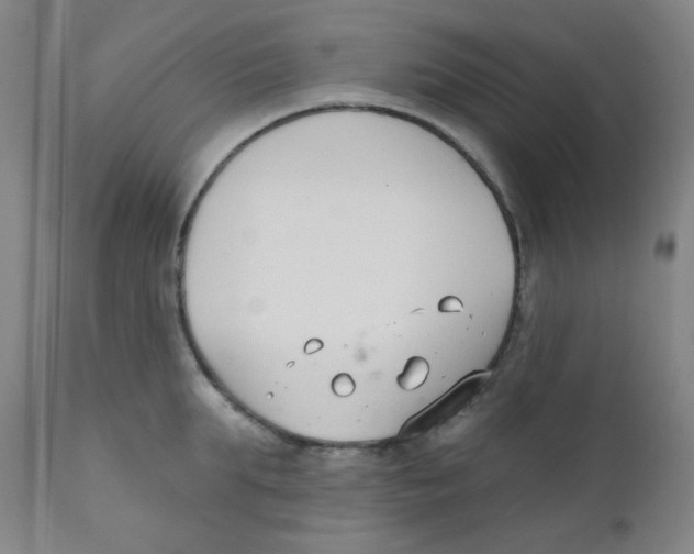 X0000111610903200908141250