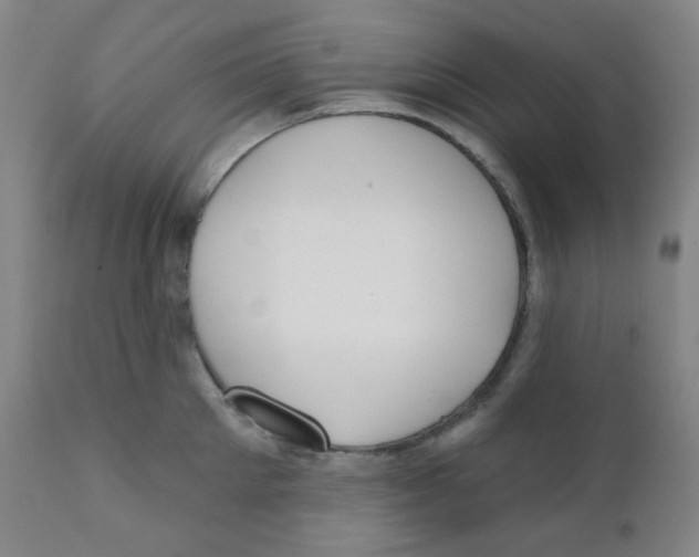 X0000111610905200908141250