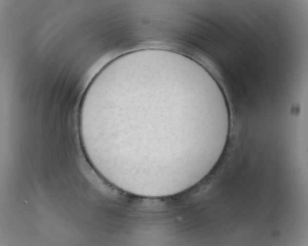 X0000111610907200908141250