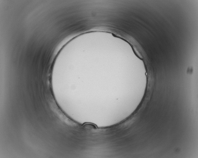 X0000111610908200908141250