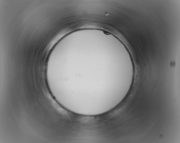 X0000111610909200908141250