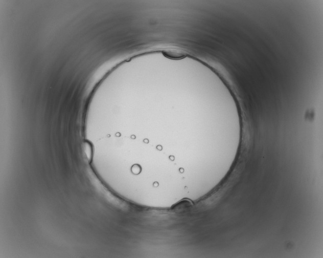 X0000111610910200908141250