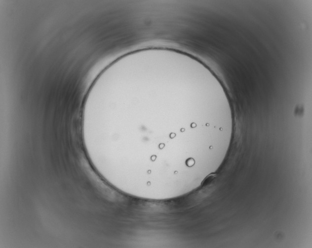 X0000111610911200908141250