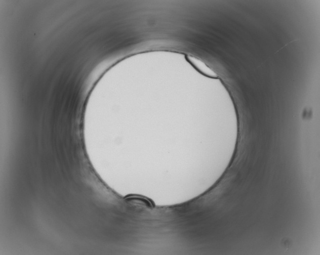X0000111610912200908141250