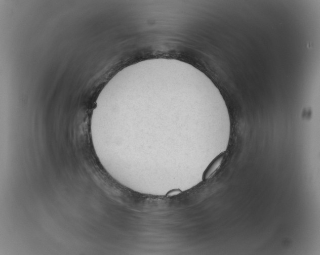 X0000111610914200908141249